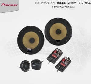 Loa cánh cửa Pioneer TS-D1730C