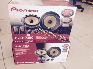 Loa cánh cửa Pioneer TS-D1730C