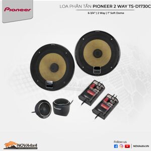 Loa cánh cửa Pioneer TS-D1730C