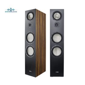 Loa Canton GLE 100