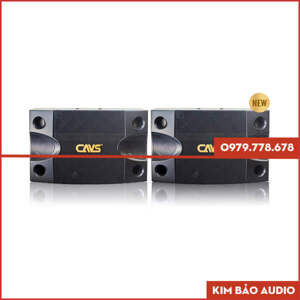 Loa karaoke CAVS 2000SE