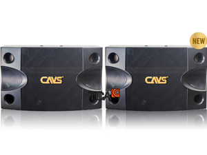 Loa karaoke CAVS 2000SE