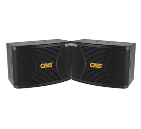 Loa CAVS CX10