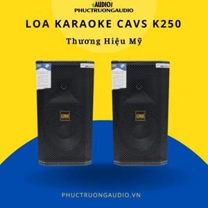 Loa CAVS K250