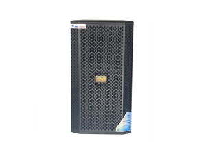 Loa CAVS P10 Pro