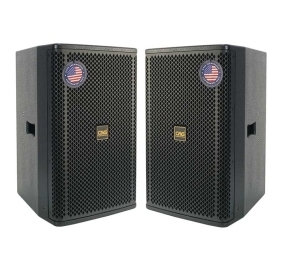 Loa CAVS P12 Lite