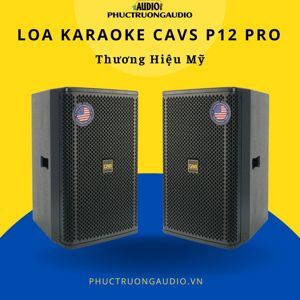 Loa CAVS P12