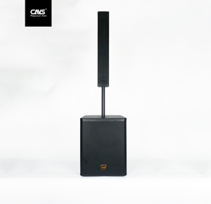 Loa cột CAVS CL815