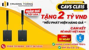Loa cột CAVS CL815