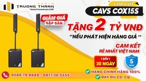 Loa cột CAVS COX15S Bass 40 Passive