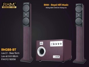 Loa cột RHM RM-288BT