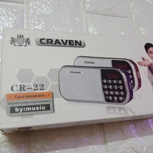 Loa craven CR 22