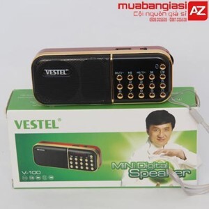 Loa đài FM Vestel V100