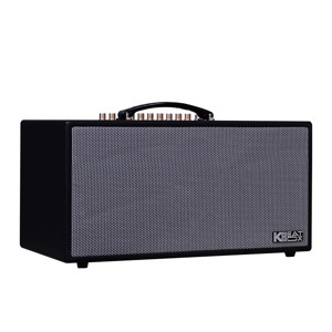 Loa di động Acnos CS450ALPHA