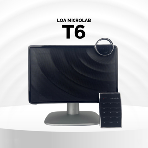 Loa di động Microlab T6 36W