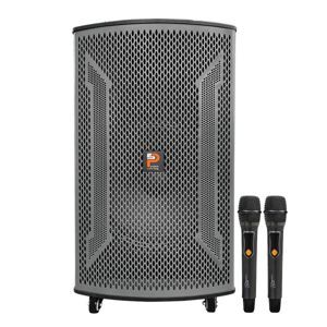 Loa di động Prosing W15 VN