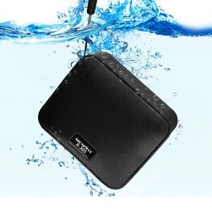 Loa di động SoundMax R-300