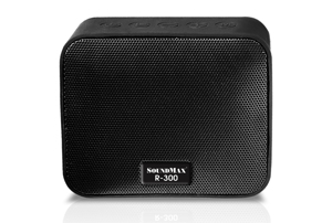 Loa di động SoundMax R-300