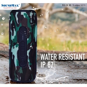 Loa di động SoundMax R-800