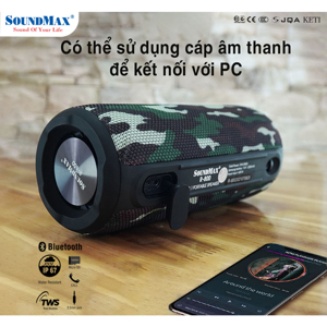Loa di động SoundMax R-800
