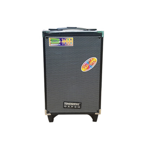 Loa di động Temeisheng A8-2T