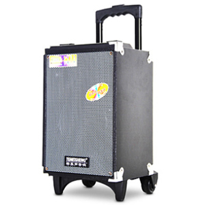Loa di động Temeisheng A8-2T