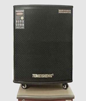 Loa di động Temeisheng Pro 1503