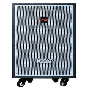 Loa điện di động Acnos KDNet3011