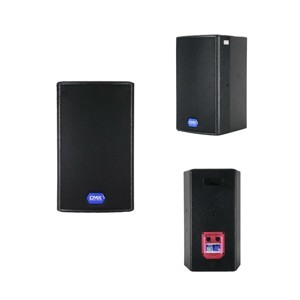 Loa DMX ES10