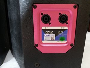 Loa DMX NX12