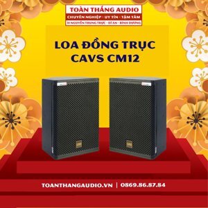 Loa đồng trục CAVS CM12