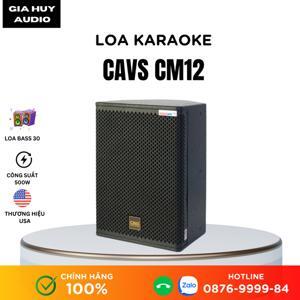 Loa đồng trục CAVS CM12