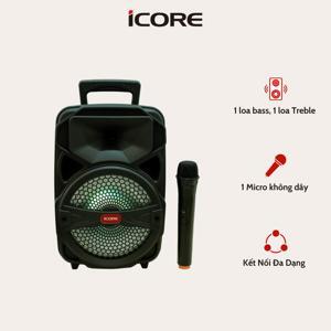 Loa du dịch iCore I-99
