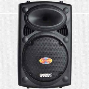 Loa du lịch Temeisheng DP-297F