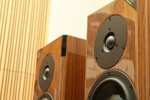 Loa Dynaudio Focus 30 XD