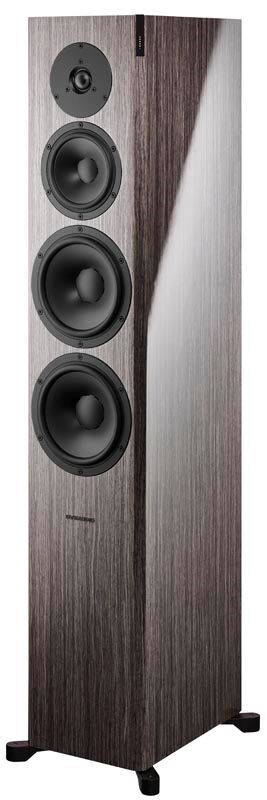 Loa Dynaudio Focus 60 XD