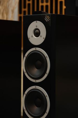 Loa Dynaudio Xeo 6 Floorstanding Speakers