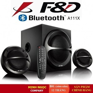 Loa Fenda A111X