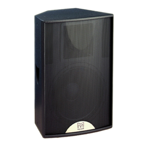Loa hội trường Martin F15