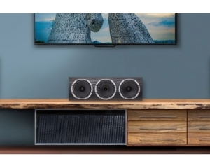 Loa Fyne Audio F500C