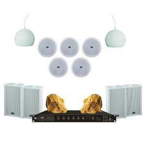 Loa gắn trần ITC T-200