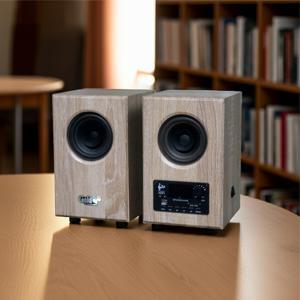 Loa Goldsound GS51