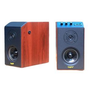 Loa Goldsound GS51