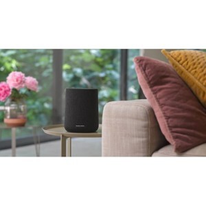 Loa Harman Kardon Citation One