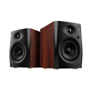 Loa Hivi Swans D1100