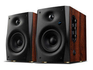 Loa Hivi Swans D1100