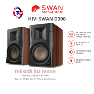 Loa Hivi Swans D300