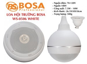 Loa hội nghị Bosa WS0506