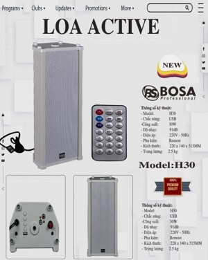 Loa hội trường Bosa H30