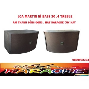 Loa hội trường Martin F12